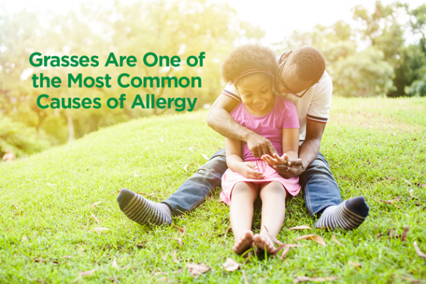 Are You Allergic to Grass? – Allergies Hub